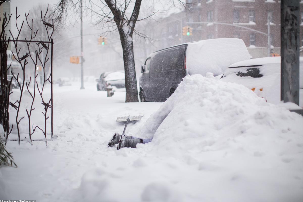 Winter Storm Warning: NYC, Tri-State Braces for 8 Inches of Snow and Travel Chaos