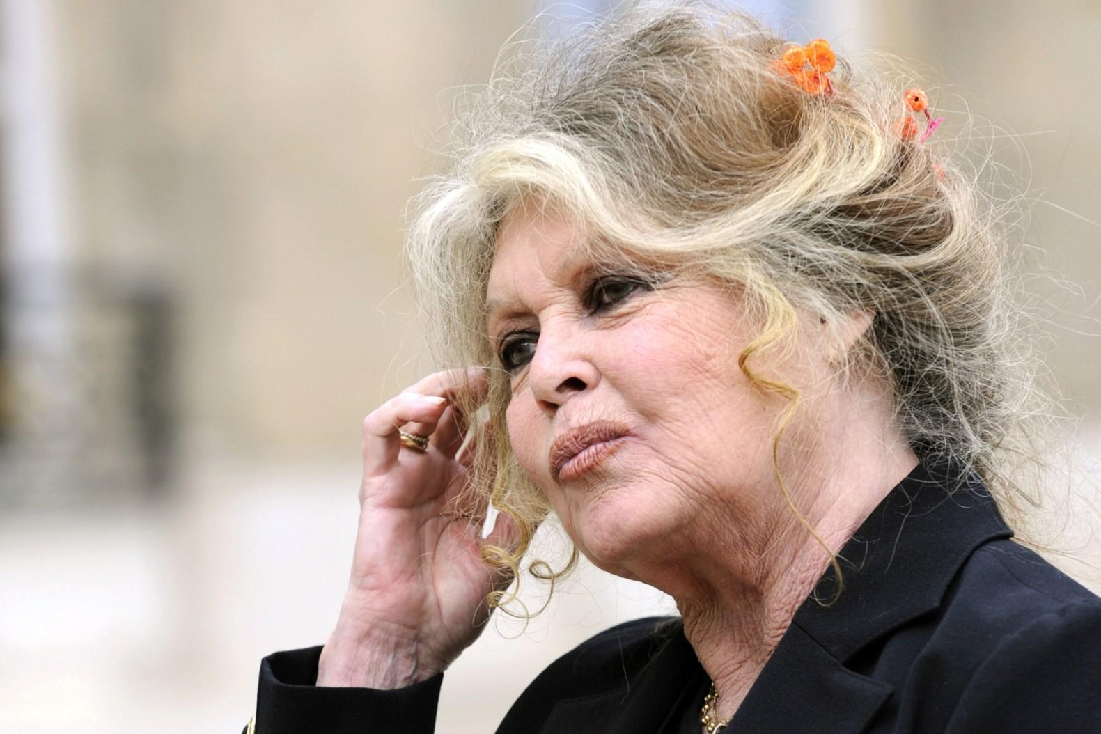 Brigitte Bardot Dies at 91: The Final Curtain for France’s Most Famous Rebel