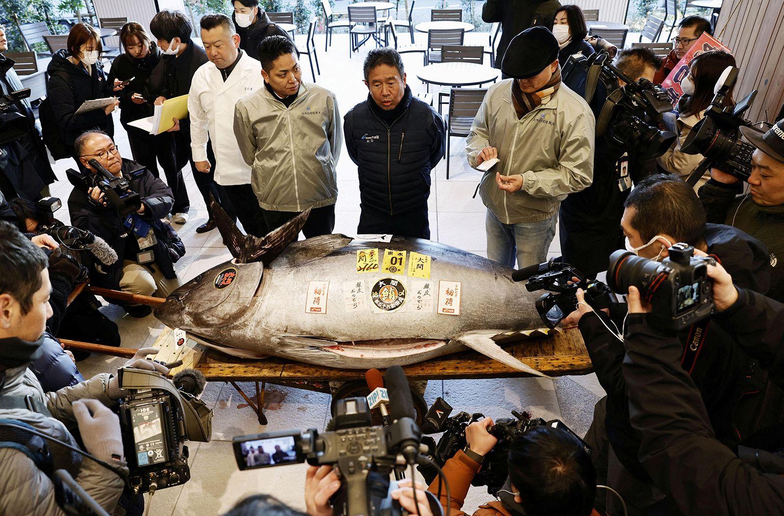 $3.2 Million Bluefin: The Tuna That Outpriced a Ferrari