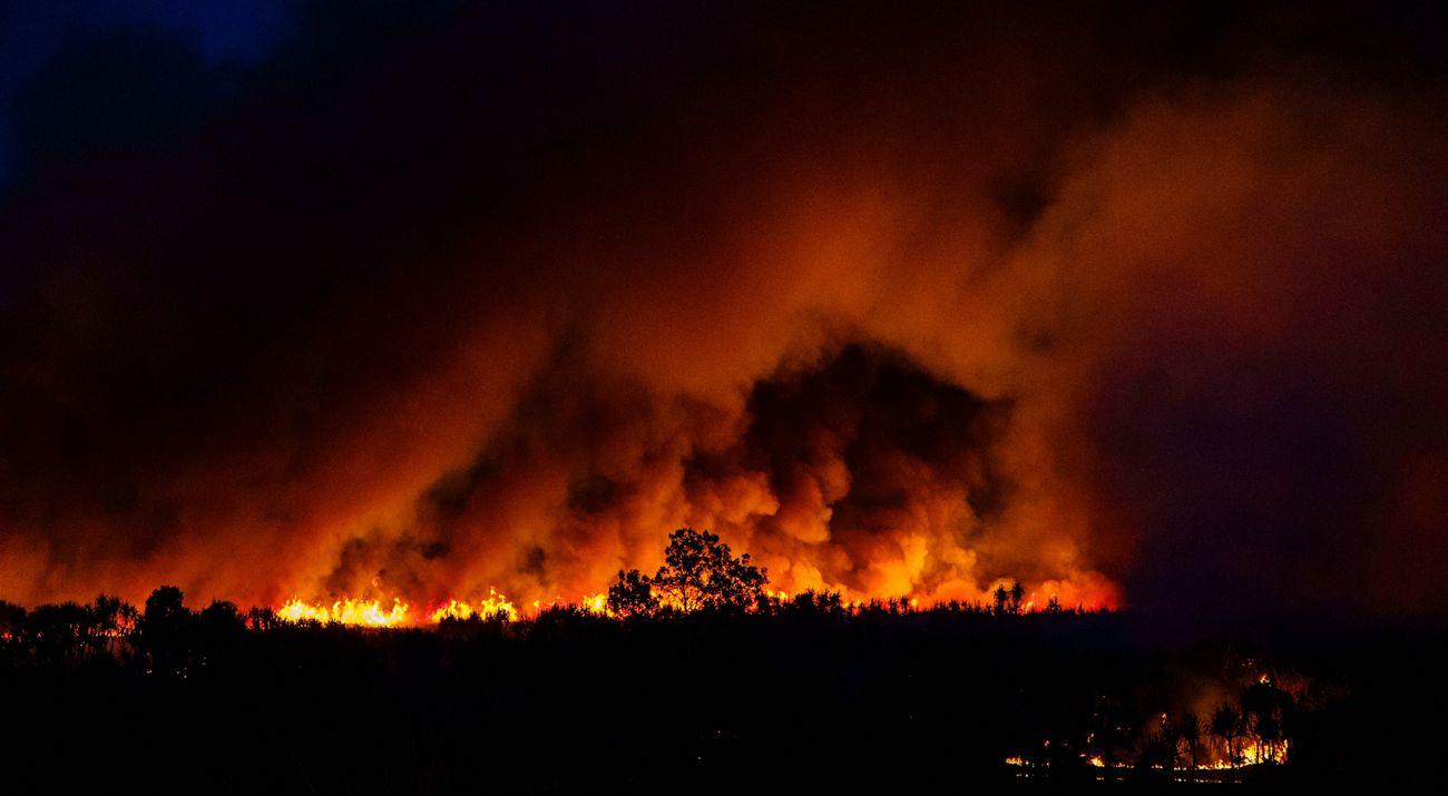 Australian Bushfires: A Devastating Reality Check