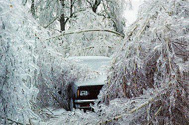 Ice Storm Paralyzes Georgia: Thousands Left Without Power