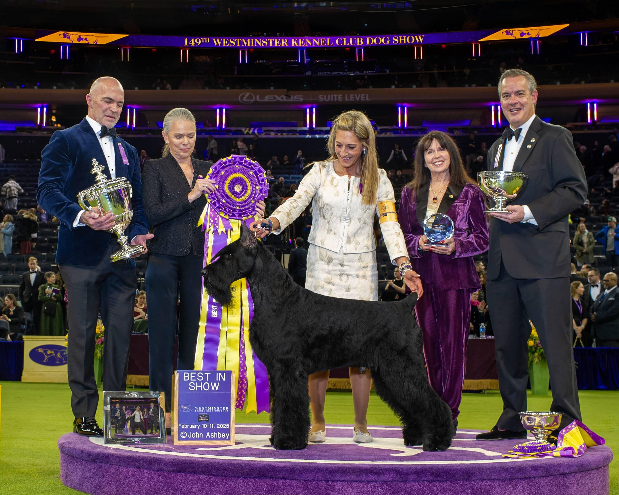 The Canine Capital of the World: Unleashing the Magic of the Westminster Dog Show