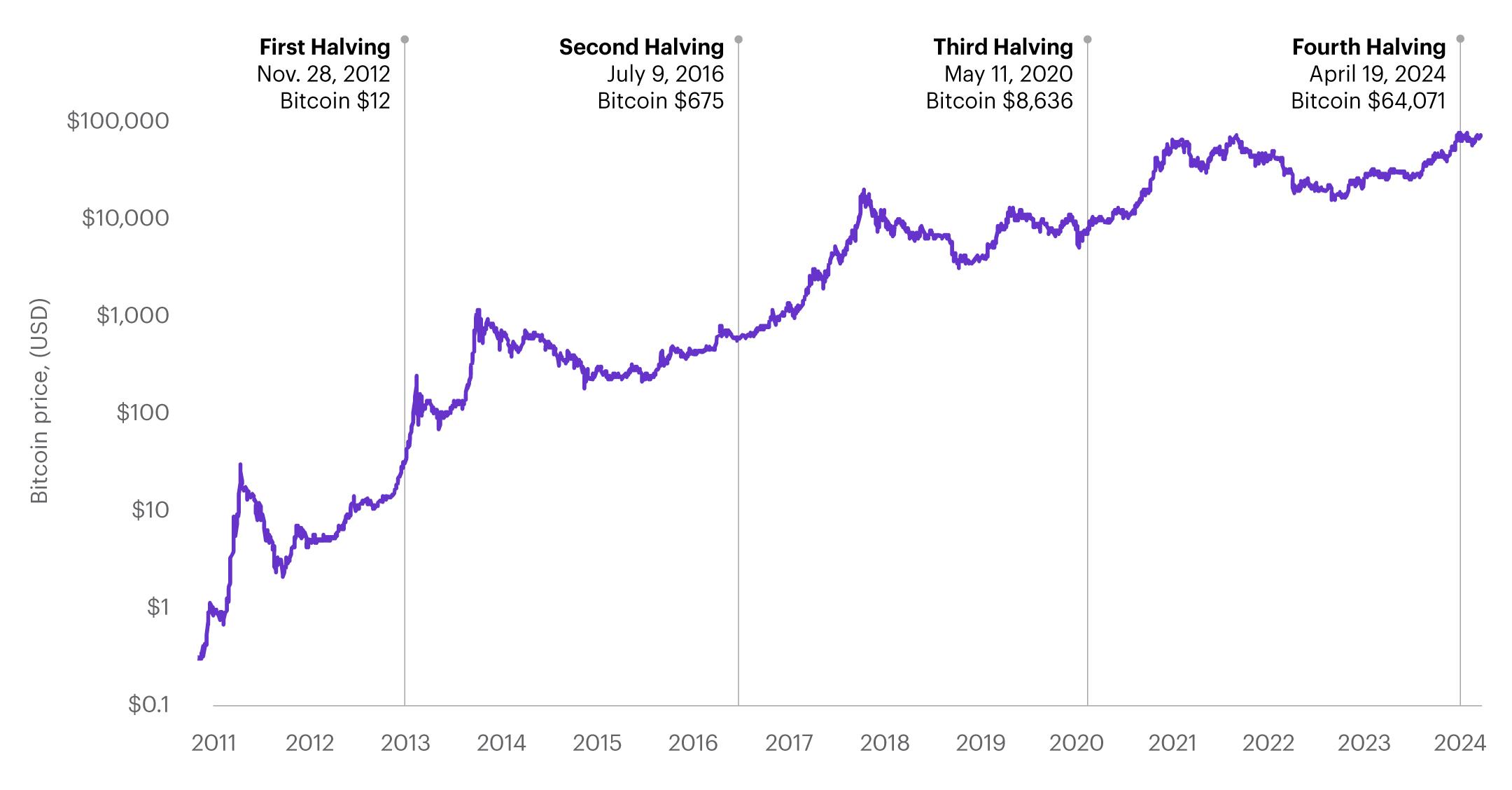 Bitcoin's Darkest Hour: The Collapse That Shook the Cryptocurrency World