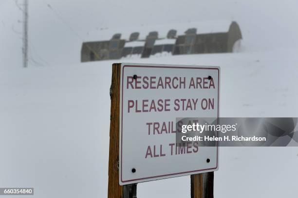 Lobsters Lured into Hidden Trap While Hunting for Company, Study Warns